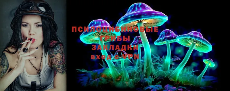 Галлюциногенные грибы Cubensis  Нерехта 